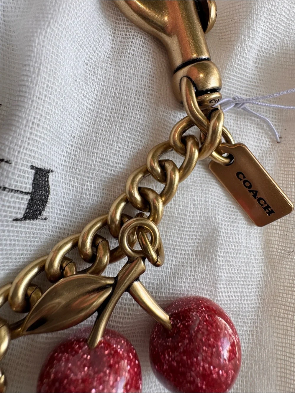 COACH Rainbow 🌈 Cherry Chain Charm with Multicolor Glitter Cherries